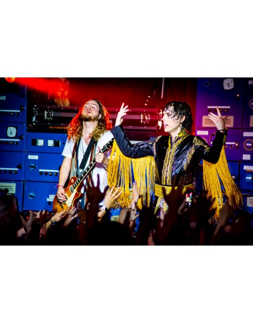 The Struts
