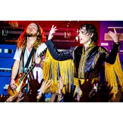 The Struts