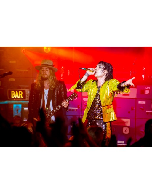 The Struts