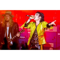 The Struts