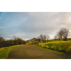 Arthur's Seat
